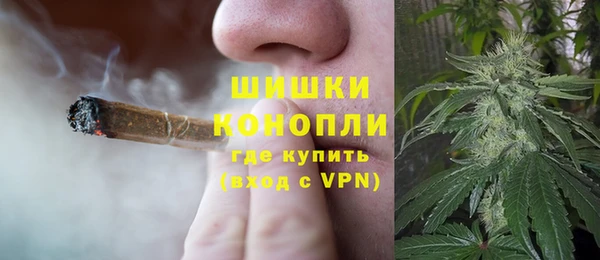ешки Горняк