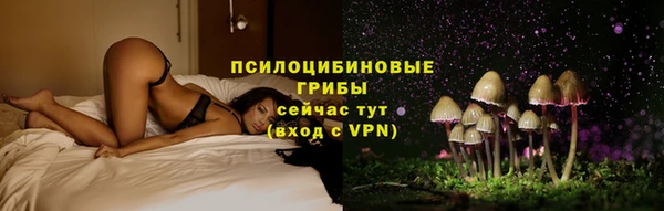 ешки Горняк