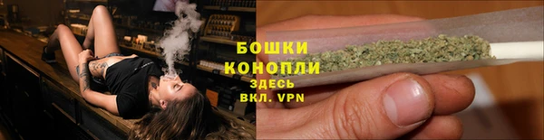 ешки Горняк