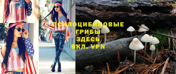 ешки Горняк