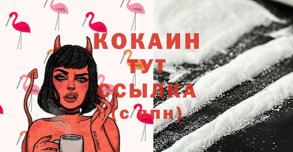 ешки Горняк