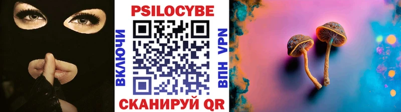 Купить где Туран Галлюциногенные грибы мухоморы